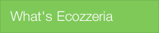 What's ecozzeriaトップへ