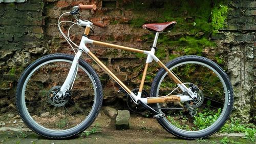 Image.C2ED48D4-0768-4B20-A207-