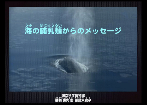 レポート 海の生きものを知り 救うことは 人間自身を救うこと 特別イベント イベント Ecozzeria 大手町 丸の内 有楽町 サステイナブルポータル